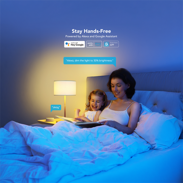 Bombilla inteligente E27 Govee RGBWW Wi-Fi | 800/1200 lm