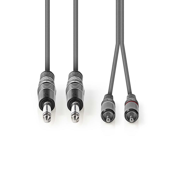 Cable de Audio Estéreo | 2x Jack 6,35 mm Macho a 2x RCA Macho - Gris