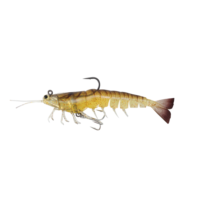 7 INCH / COCKROACH