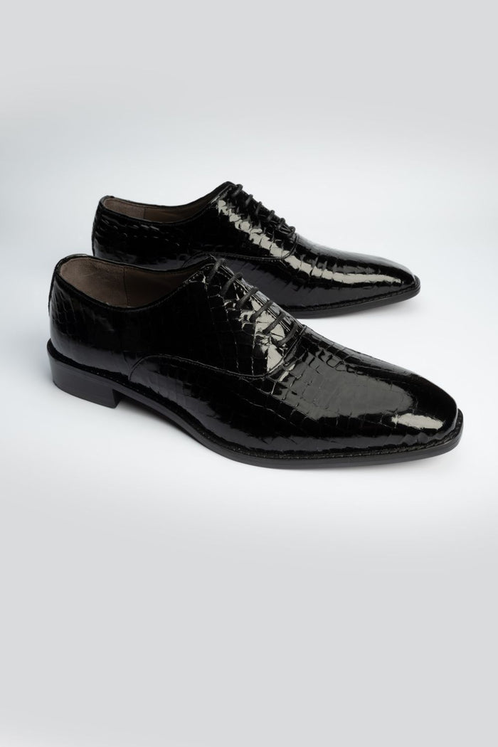 LOGO BELLARMIN LACE UPS
