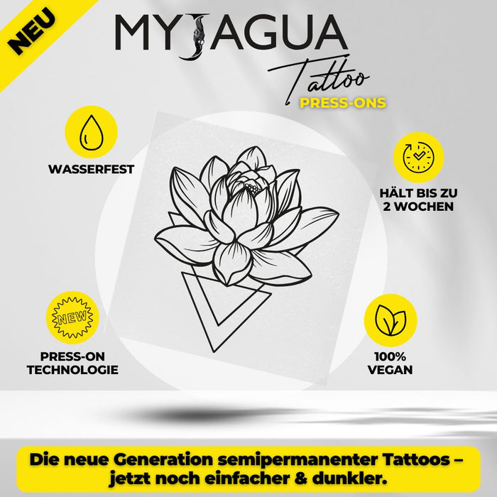 Lotus Licht
