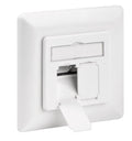 Placa de Pared CAT 6 Caja utp