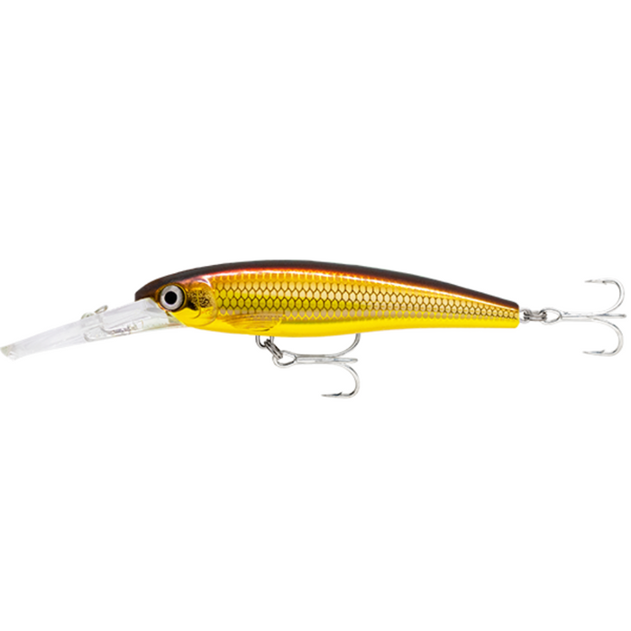 RAPALA X-RAP SALTWATER DEEP 11CM [CLR:GALB]