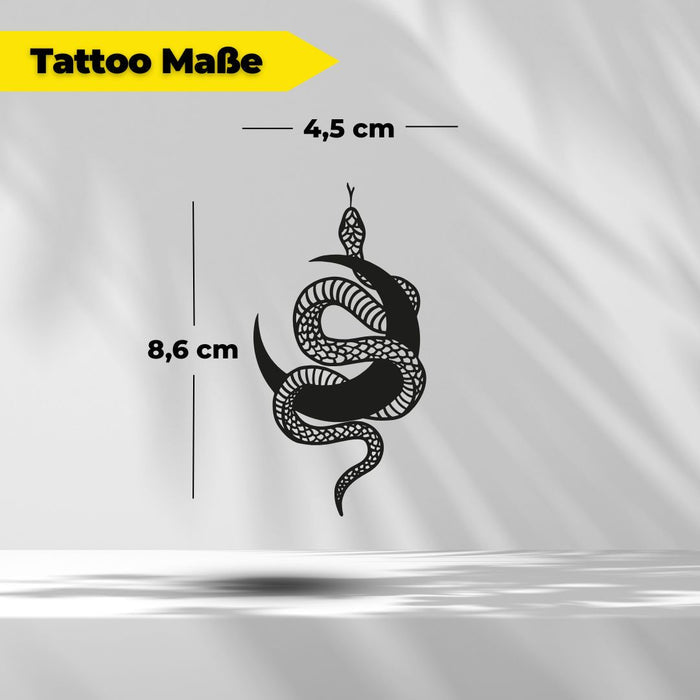 Snake & Moon