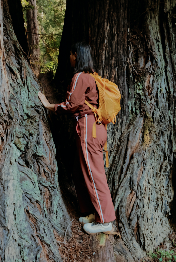 Trailmix Pant